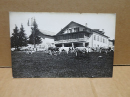 Douane France Suisse ? Carte Photo Chalet Vaches - Customs