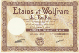 Indochine - Etains Et Wolfram Du Tonkin - Action De 50 F / 1949 - Asie