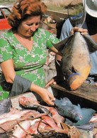 1 AK Insel St. Martin * Fish Market In Marigot Hauptstadt Von St-Martin - Diese Karibikinsel Gehört Zu Frankreich * - Saint Martin