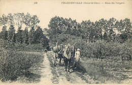 VAL D'OISE  FRANCONVILLE   Dans Les Vergers - Franconville