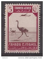 SHR75SASF-L4411PC-TESPAEREO.Marruecos  Maroc.Marocco.Sahara. Español..Fauna Y Avion.Avestruz. 1943 (Ed 75**).EXCELENT - Ongebruikt