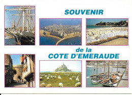 Souvenir De La Cote D'Emeraude  -  Cachet Poste Septembre 1991 - Autres & Non Classés