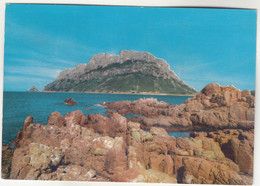 C2317) OLBIA - Sardegna Pittoresca - Isola Tavolara - Olbia