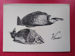 WRASSE - Hand Crafted In Hawaï By KAHUNA Cards - Carte Double - Hawaï