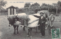 CPA Thèmes - Agriculture - Les Pyrénées - Attelage Béarnais - C. C. - Oblitérée 1909 Basses Pyrénées - Animée - Boeufs - Teams