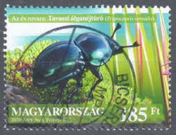 Spring Dumbledor Beetle / INSECT / Moss / Trypocopris Vernalis HUNGARY 2020 Postmark BICSÉRD Baranya - Gebruikt