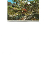 Ireland  - Postcard Used 2000 - The Japanese Gardens,Tully, Co.Kildare -2/scans - Kildare