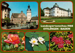 GERMANY , Cpm  ETTLINGEN/BADEN , Landesgartenschau 1988  (21983) - Ettlingen