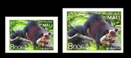 MALI 2022 - IMPERF SET 2V - INDIA ENDEMIC FAUNA - ECUREUIL ECUREUILS SQUERRELS SQUERREL - RARE MNH - Rongeurs