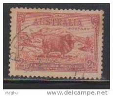 Australia - Australie - 1934 - Centenary Of Captain John MacArhur - Sheep, Farm Animal, Merino Ram MI 123 -  - Used - Oblitérés