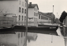 Macon Inondations 1981 Crue De La Saône Rue De La République - Inondations