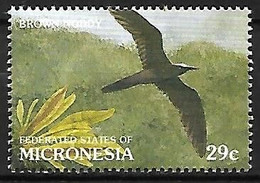 Micronesia - MNH ** 1991 :    Brown Noddy  -  Anous Stolidus - Seagulls