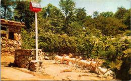 Tennessee Lookout Mountain Rock City The Deer Park - Chattanooga