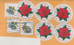 USA 2022 To France With Euphorbe Euphorbia Poinsettia Rabbit Lapin Fruit Blueberrie Myrtille Airelle Stamps - Lettres & Documents