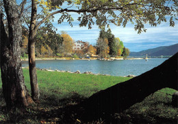 Lac De Joux Le Rocheray Le Chenit - Le Chenit