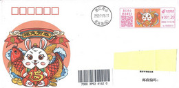 China 2022, Franking Meter, New Year Of Rabbit On Circulated Cover, Arrival Postmark On Back - Briefe U. Dokumente