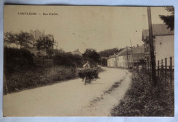 CPA Rare Belgique Saint Léger Gaume - Rue D'Arlon - Homme Avec Brouette Et Fagot De Bois - Rosmant Rongvaux - Saint-Leger