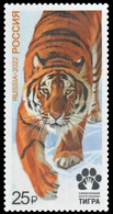 RUSSIA 2022 FAUNA Animals. Big Cats TIGER - Fine Stamp MNH - Unused Stamps