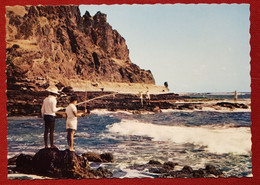 CPSM Grand Format -  La Réunion En Couleurs Naturelles - Saint Paul - Pêcheurs Du Week-end- Au Fond Cap Champagne - Saint Paul