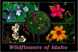 Idaho Wildflowers Multi View - Autres & Non Classés