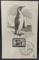 Día De Emisión – X Aniversario Creación De La Base San Martín Antártida Argentina - 22/2/1963 - Markenheftchen