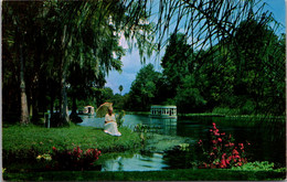 Florida Silver Springs Beautiful Model On Shoreline Along Silver River - Silver Springs