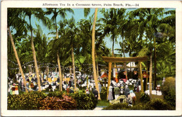 Florida Palm Beach Afternoon Tea In A Cocoanut Grove 1924 - Palm Beach