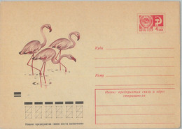 75715 - RUSSIA - POSTAL HISTORY -  Picture STATIONERY COVER  Birds 1973 Flamingo - Flamingos