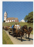 HALLAU Pferde-Fuhrwerk-Fahrt Durch Die Rebberge Im Hintergrund Bergkirche St. Moritz - Hallau