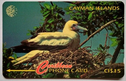 Cayman Islands CW  11CCID  EC$15 " Red Footed Booby " - Iles Cayman