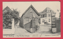 Flobecq - Une Vue Rue Delvigne - 1906 ( Voir Verso ) - Flobecq - Vlösberg