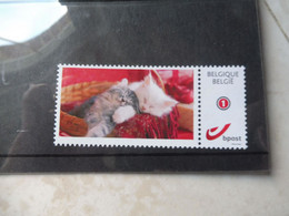 Duostamp ** Mnh Chat Cat Katten - Altri & Non Classificati