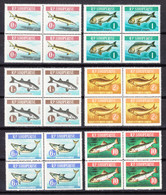 Albania 1964 Animals Fish Mi#809-814 Mint Never Hinged Pieces Of 4 - Albanien