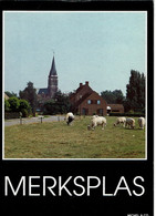 Merksplas - Merksplas