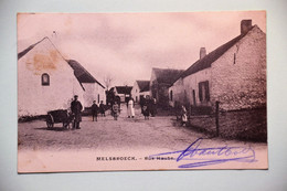 Melsbroeck 1906: Rue Haute Très Animée Avec Charette à Chien. Très Rare - Steenokkerzeel