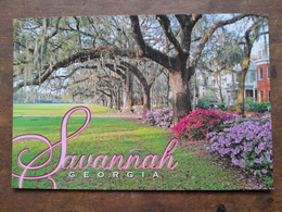 Savannah, Georgia - Savannah