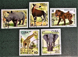 Cuba,1978, African-animals. - Gebraucht
