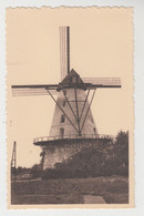 Boechout   De Molen  MOULIN - Boechout