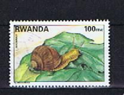 Ruanda, Rwanda 1995: Michel 1462 Used, Gestempelt - Used Stamps