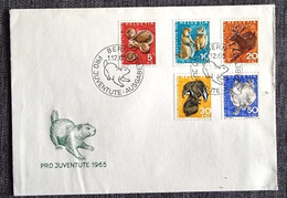 SUISSE Lapins, Lapin, Rabbit, Conejo. Pro Juventute 1965 Fdc, Premier Jour . Yvert 759/63 - Hasen