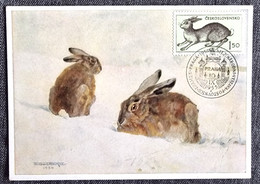 TCHECOSLOVAQUIE Lapins, Lapin, Rabbit, Conejo. Yvert N° 824 Carte Maximum, FDC, Premier Jour 1955 - Rabbits