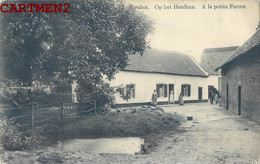 EYSDEN OP HET HEUFKEN A LA PETITE FERME MAASMECHELEN BELGIQUE - Maasmechelen