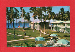 SAINTE- LUCIE  St Lucia Beach Hotel Animation CPM Année 1964 état Correct - St. Lucia