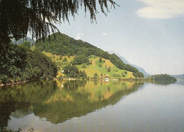 LAUERZ See - Lauerz