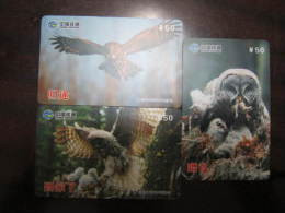 China Prepaid Phonecard, Owls, Set Of 3,real Phonecard Not Fake - Gufi E Civette