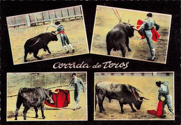 Corrida De Toros * Toréador Torero * Arènes Taureau - Corrida