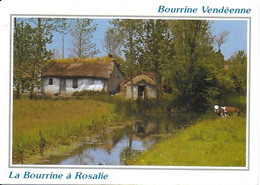 Bourrine Vendéenne - La Bourrine à Rosalie ( Sallertaine)   -  Cachet De La Poste 2001 - Autres & Non Classés