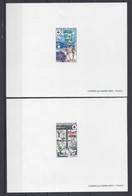 REUNION CFA N° 431/32 - 2 EPREUVES De LUXE - CROIX ROUGE - Les SAISONS - Unused Stamps