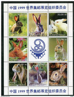 HB FAUNA   ///  (C092)  FAUNA  -  CONEJOS - Rabbits