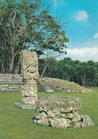 Honduras - Ruinas De Copan , Estela Maya - Honduras